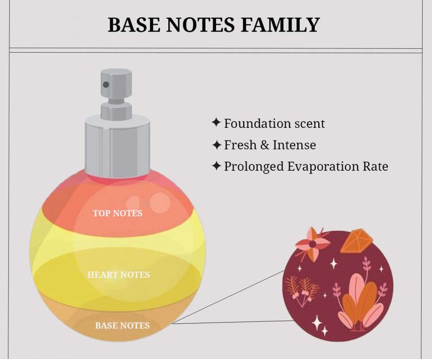 Base notes in Perfumes