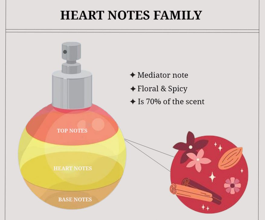 Heart Notes in Perfumes