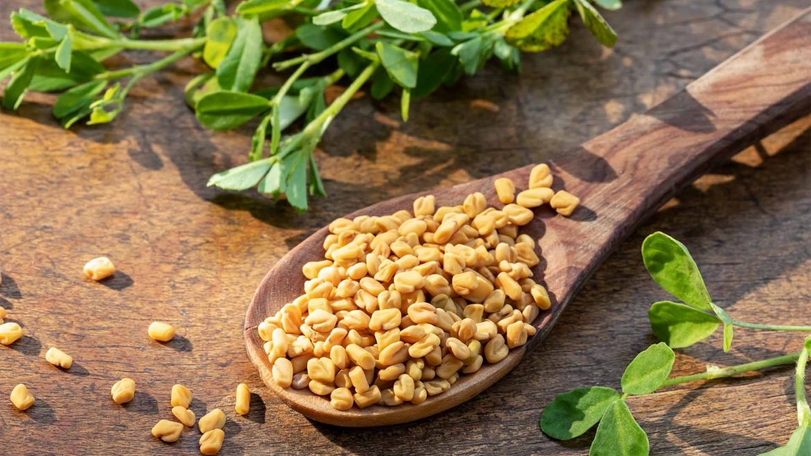 Fenugreek